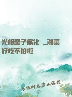 光明圣子黑化記
