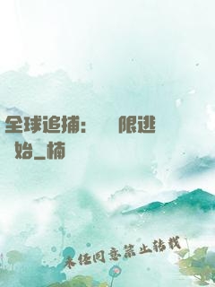 全球追捕：從極限逃脫開始