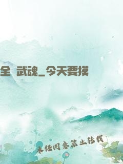 全職武魂