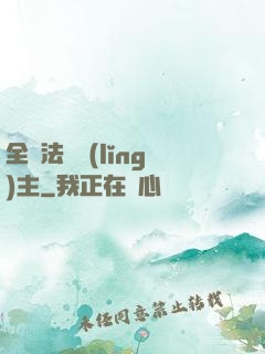 全職法師領(lǐng)主