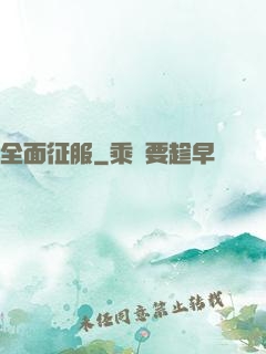 全面征服