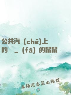 公共汽車(chē)上的輪桿