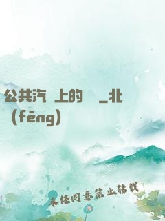 公共汽車上的輪桿