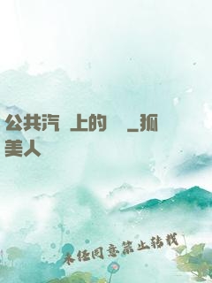 公共汽車上的輪桿