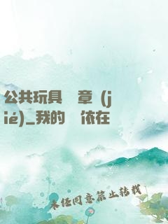 公共玩具閱讀章節(jié)