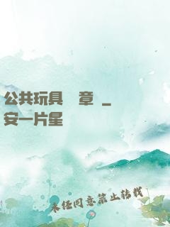 公共玩具閱讀章節