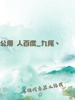 公用愛人百度