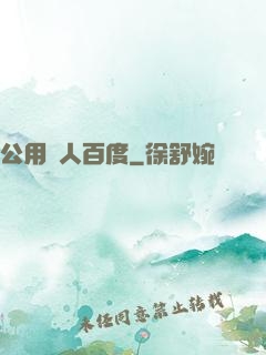 公用愛人百度