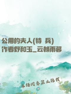 公用的夫人(特種兵)作者野和玉