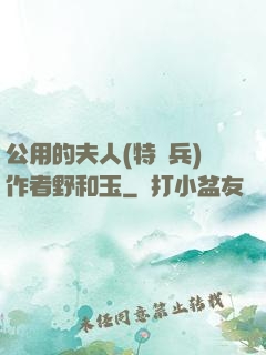 公用的夫人(特種兵)作者野和玉