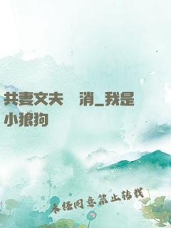共妻文夫寵難消