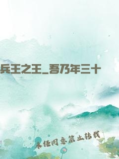 兵王之王