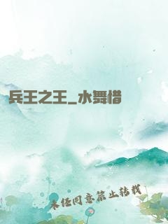 兵王之王