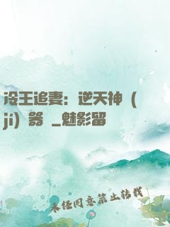 冷王追妻：逆天神級(jí)煉器師