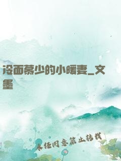 冷面慕少的小暖妻