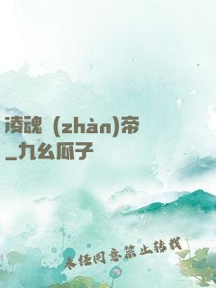 凌魂戰(zhàn)帝