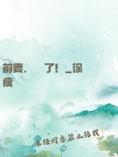 前妻，別鬧了！