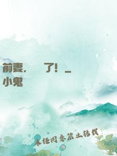 前妻，別鬧了！