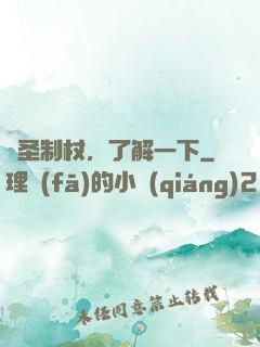 劍圣制杖，了解一下