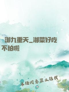 劍御九重天