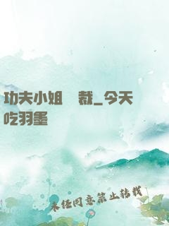 功夫小姐戲總裁
