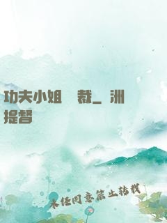 功夫小姐戲總裁