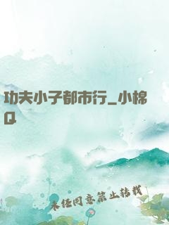 功夫小子都市行