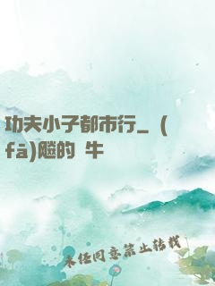 功夫小子都市行
