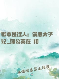 卿本是佳人：偷心太子妃