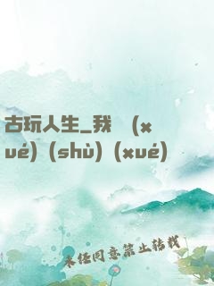 古玩人生