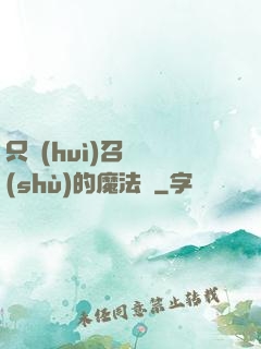只會(huì)召喚術(shù)的魔法師