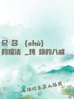 只會召喚術(shù)的魔法師