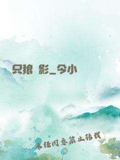 只狼弒影