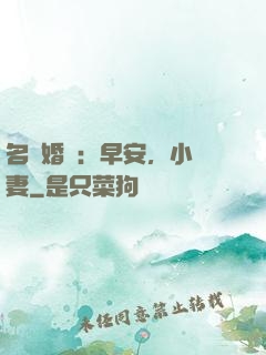 名門婚寵：早安，小鮮妻