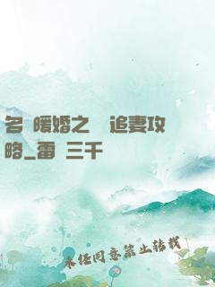 名門暖婚之權爺追妻攻略