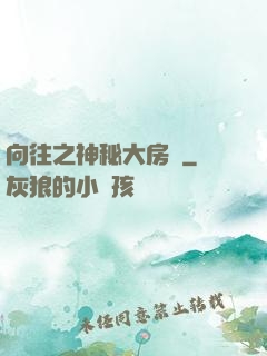 向往之神秘大房東