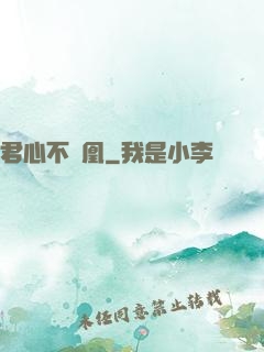 君心不負凰