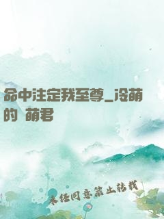 命中注定我至尊