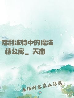 哈利波特中的魔法師與愛情公寓
