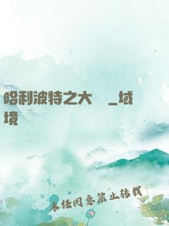 哈利波特之大災難
