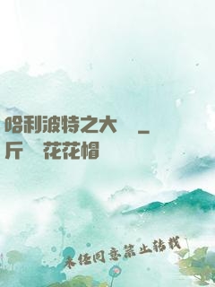 哈利波特之大災難