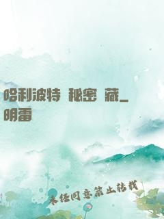 哈利波特與秘密寶藏