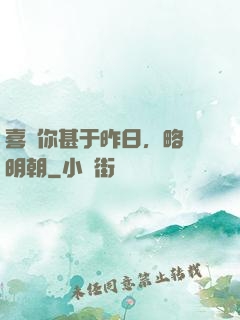 喜歡你甚于昨日，略匱明朝