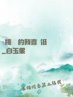 單挑艦隊的我喜歡低調