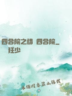 四合院之情滿四合院