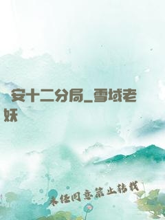 國安十二分局