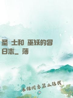 圣騎士和瘋巫妖的冒險日志