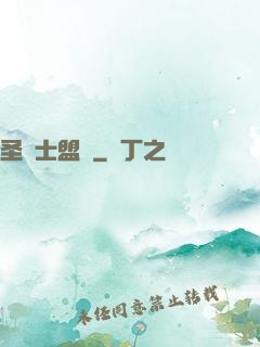 圣騎士盟約