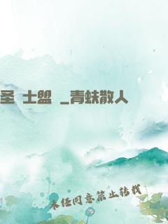 圣騎士盟約