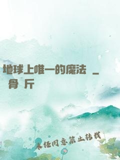 地球上唯一的魔法師